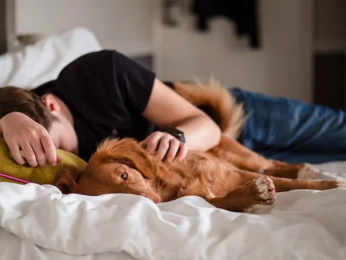 犬と一緒に寝ている男性